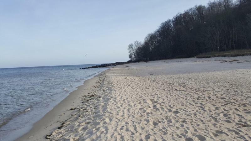 Studio Mit Seeblick Bad Segeberg Zewnętrze zdjęcie